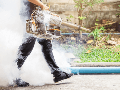 About North Mountain Mice Removal - mice removal experts in North Mountain